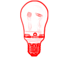 Klematis